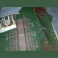 Hasnahena Sathi
